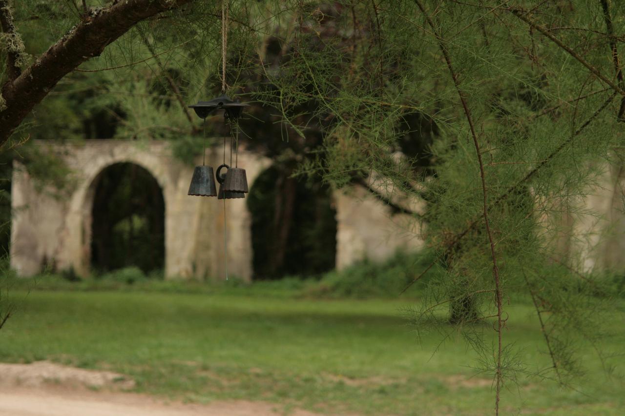 Domaine Des Douves Bed & Breakfast Ancy-le-Franc Ngoại thất bức ảnh